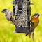 Birdscapes Perky-Pet Squirrel-Be-Gone Wild Bird 2 lb Metal/Plastic Bird Feeder 6 ports 336 - alternate 2